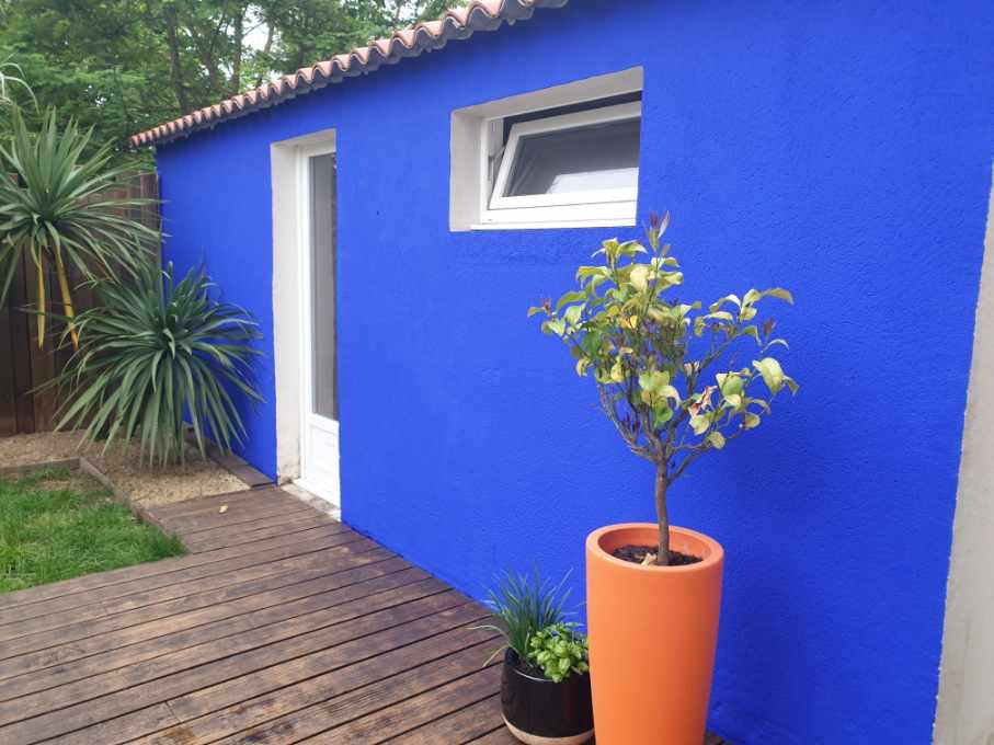 BLEU MAJORELLE chez Alice 2
