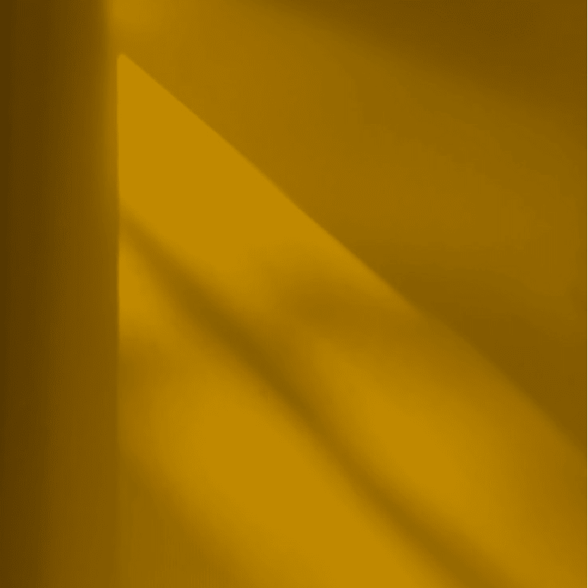 Peinture intérieure MATE - Jaune Oasis - Olona Peinture