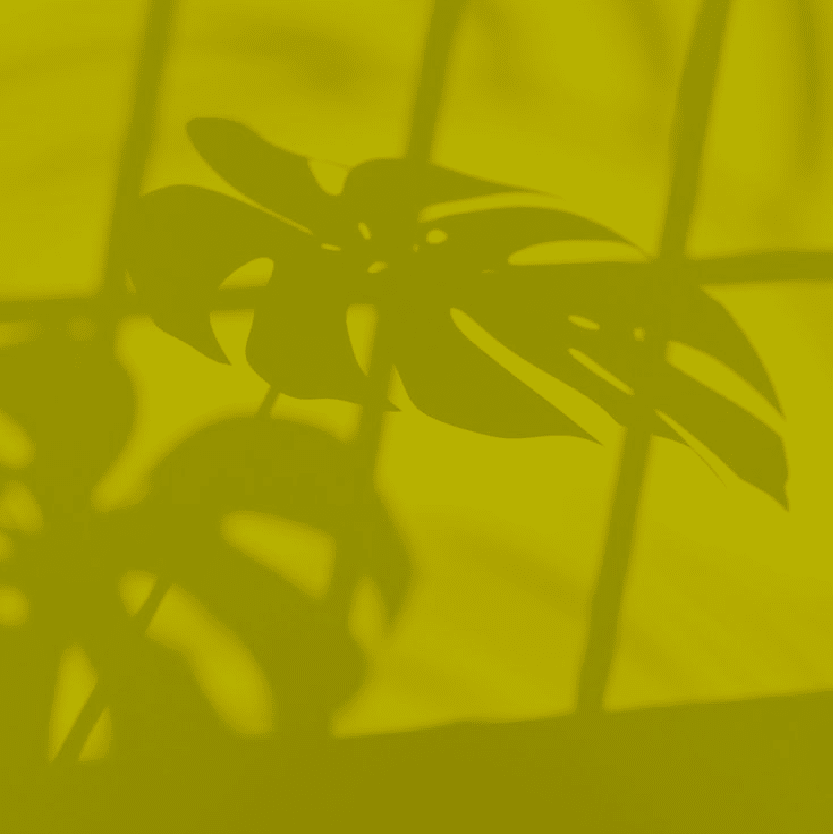 Peinture boiseries SEMI BRILLANTE - Jaune Soufre - Olona Peinture