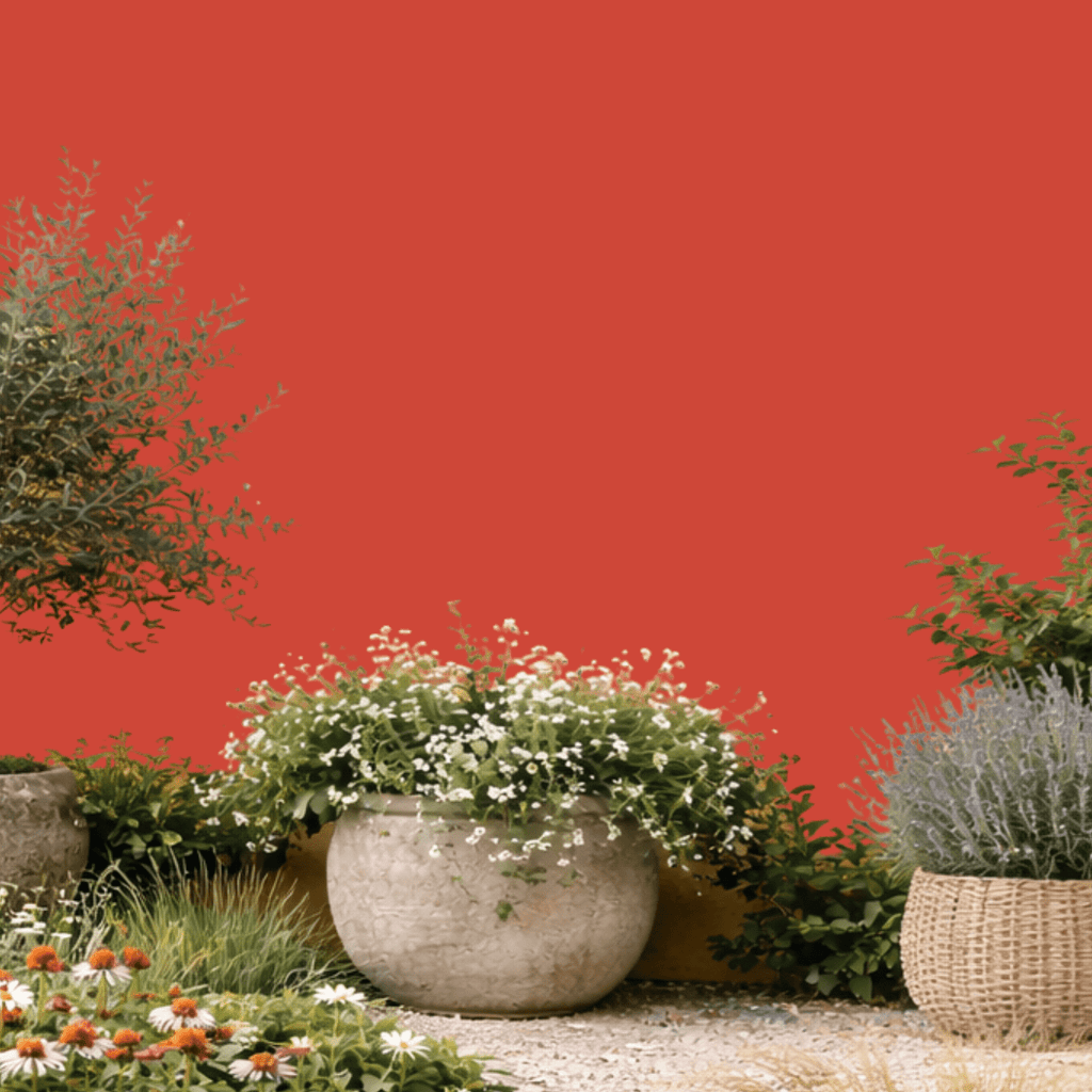 Peinture extérieure MATE - Orange Médina - Olona Peinture