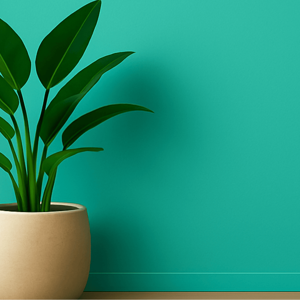 Peinture intérieure MATE - Vert Menthe - Olona Peinture