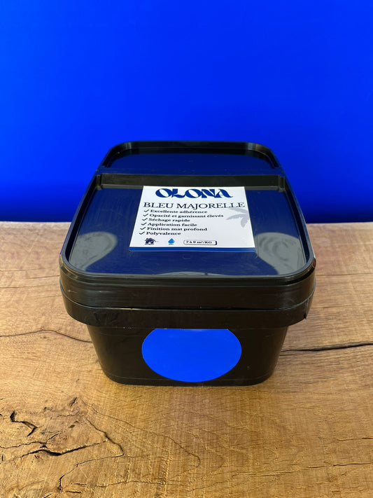 POT DE 5 KG BLEU MAJORELLE