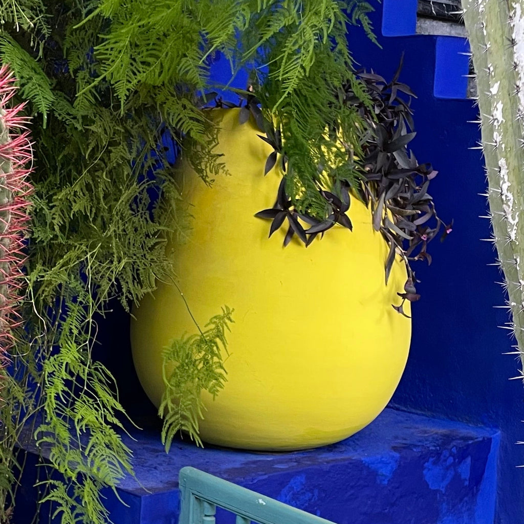 Peinture extérieure MATE - Jaune Soufre - Olona Peinture