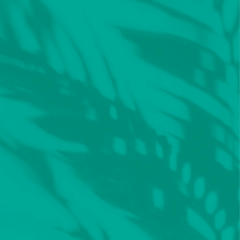 Peinture boiseries SEMI BRILLANTE - Vert menthe - Olona Peinture