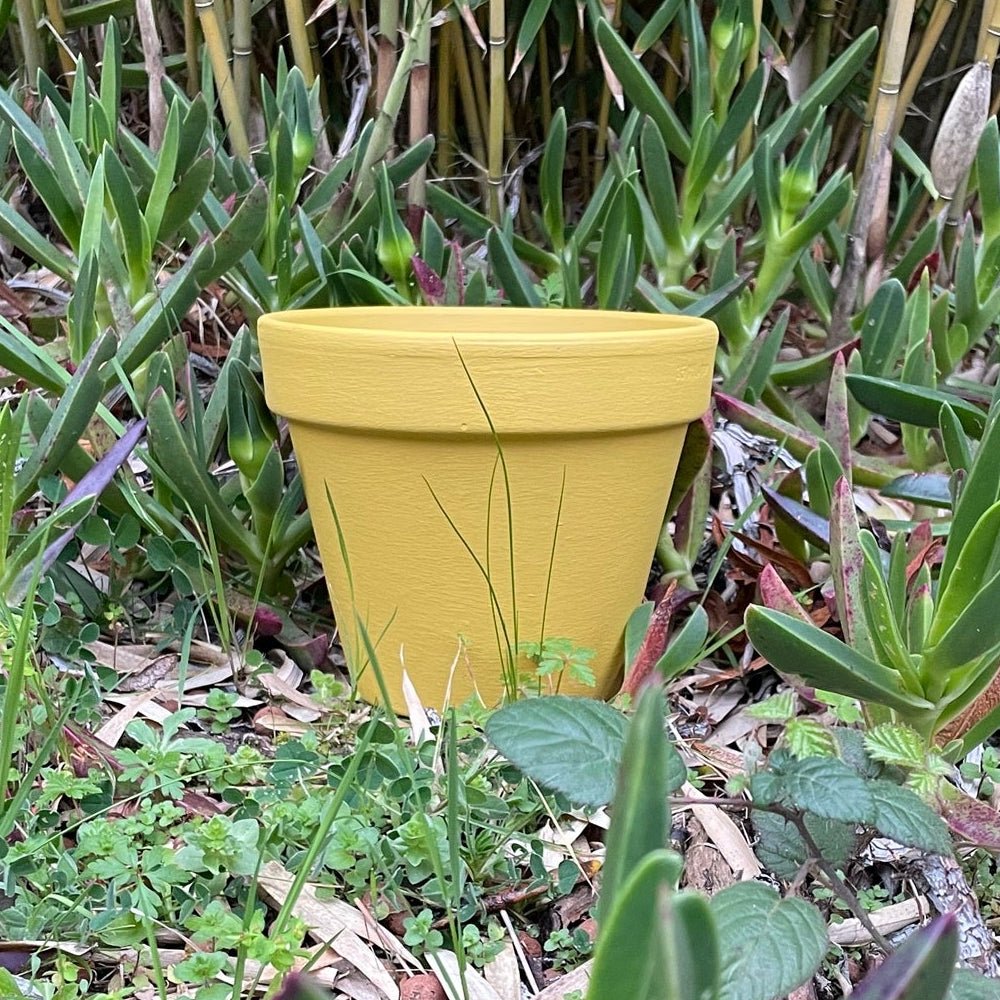 Peinture Jaune Oasis - Olona Peinture