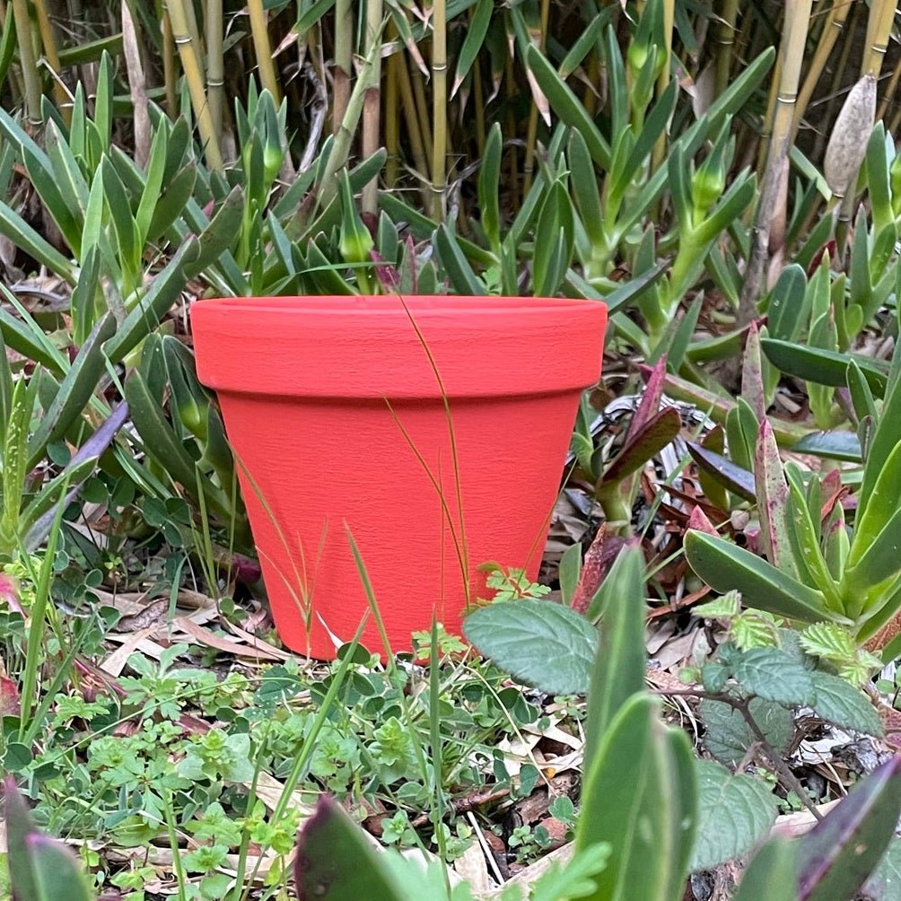 Peinture Orange Médina - Olona Peinture