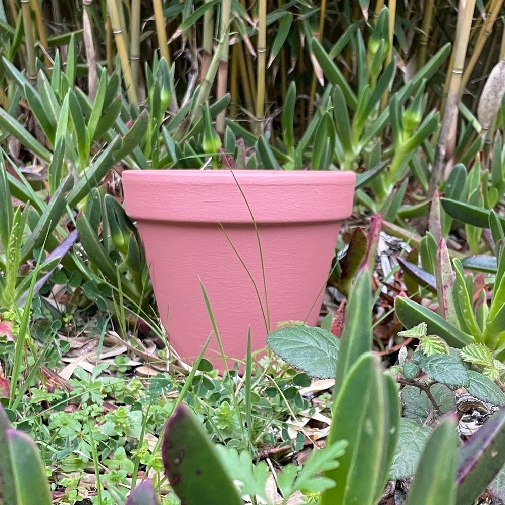 Peinture Rose Argile - Olona Peinture