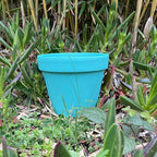 Peinture Vert Menthe - Olona Peinture