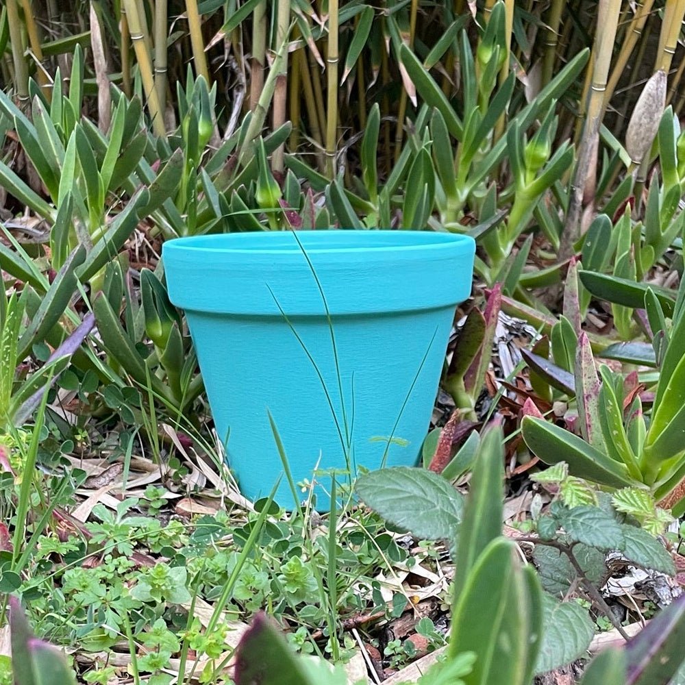 Peinture Vert Menthe - Olona Peinture