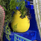 photo d'un pot peint en jaune soufre