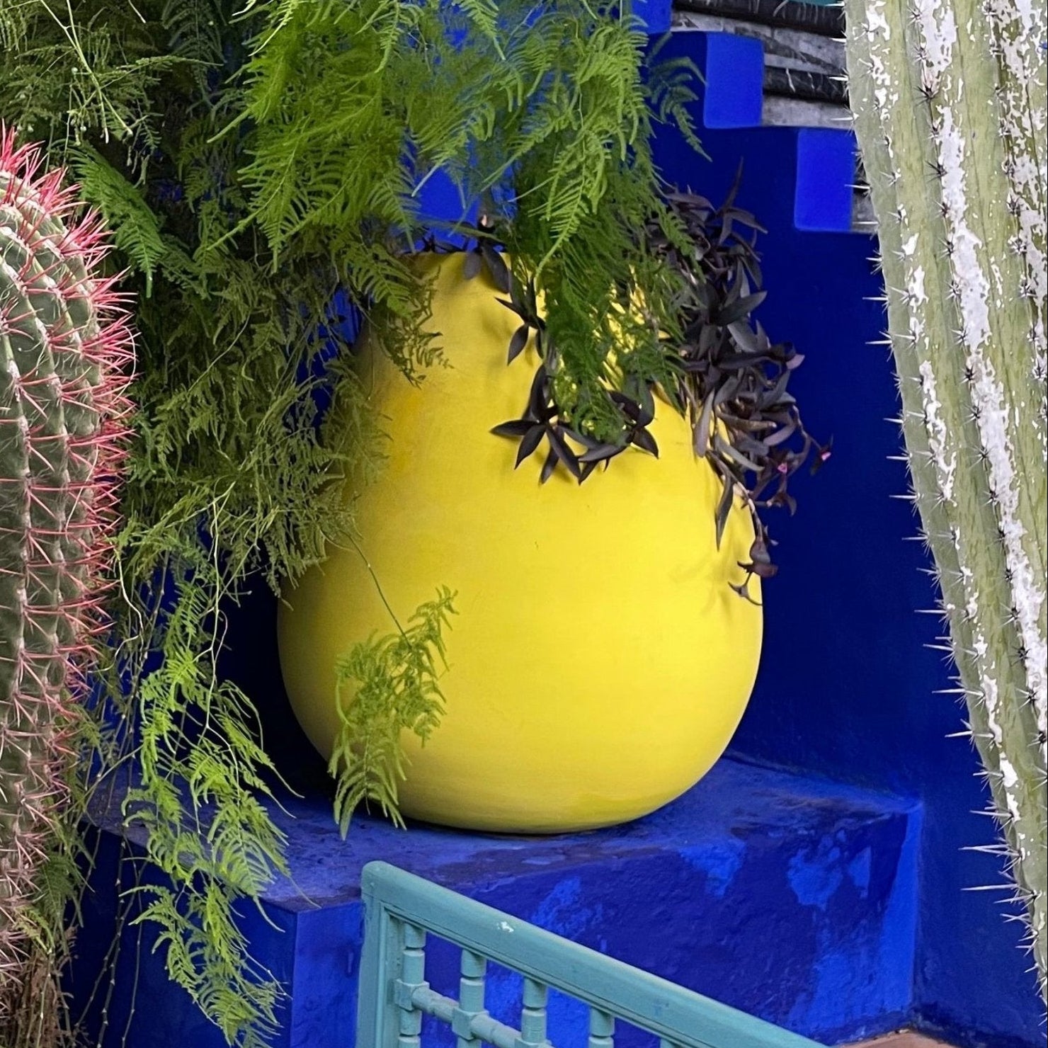 photo d'un pot peint en jaune soufre