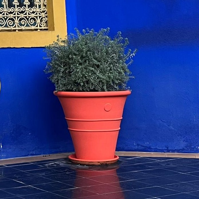 Peinture Orange Médina - Olona Peinture